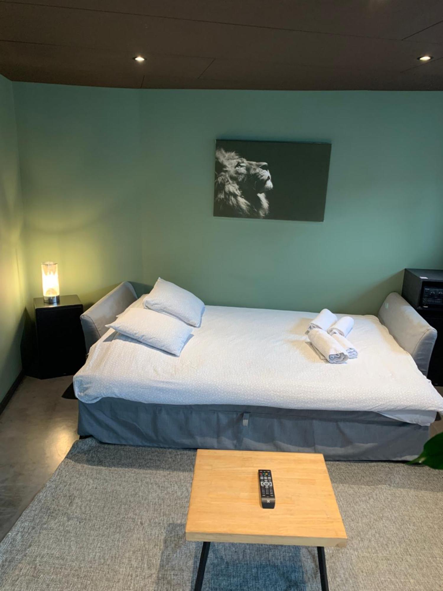 Froissart Loft Et Studio Chimay Eksteriør billede